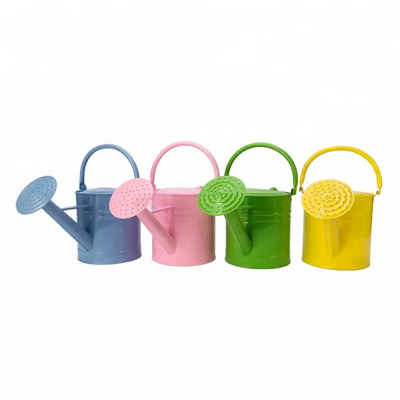 China Wholesale Galvanized steel child watering can