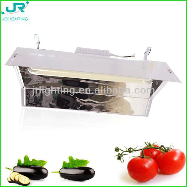full spectrum grow light hot sale low price bi-spectrum induction grow lamp big power 650w 600w plant lanp