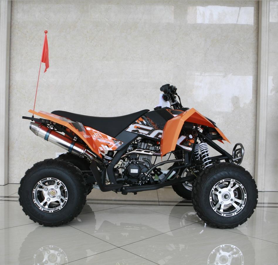 300cc газ 4 Wheeler Quad ATV правовые дорожного движения