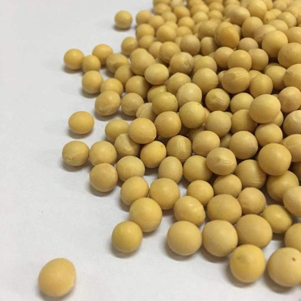 NON-GMO соевые бобы