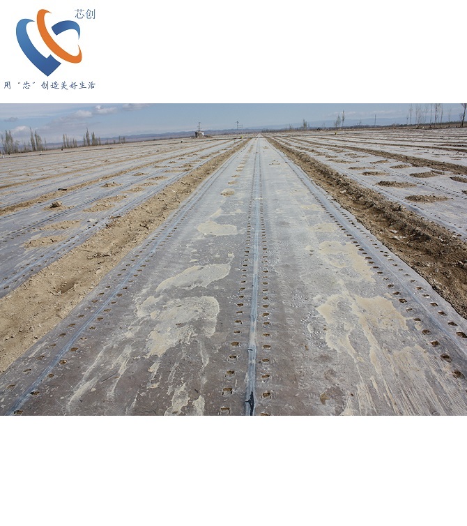 Гранула ПЛА biodegradable PLA пленка класса смолы/пленка для мульчирования 100% Класс PLA