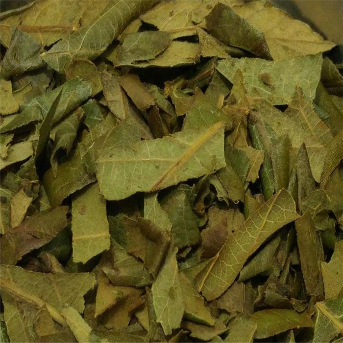 Высококачественная трава Eriobotryae Folium листья локвы folium eriobotryae с Лучшая цена