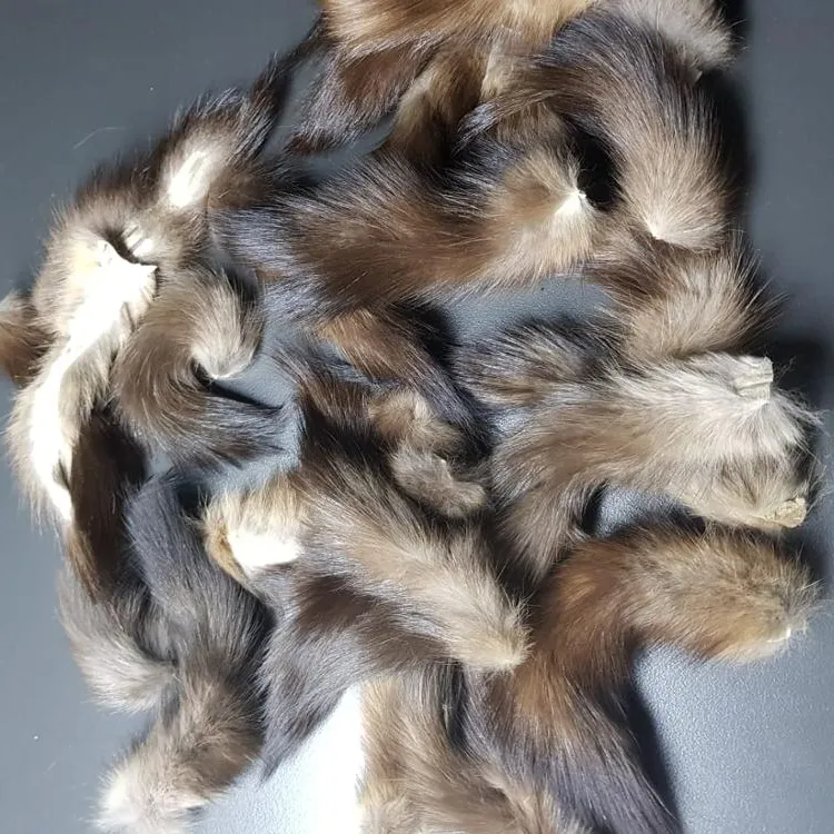 Wholesale High Quality Russian Sables Tail Real Canadian Sables Tail Baum Marten
