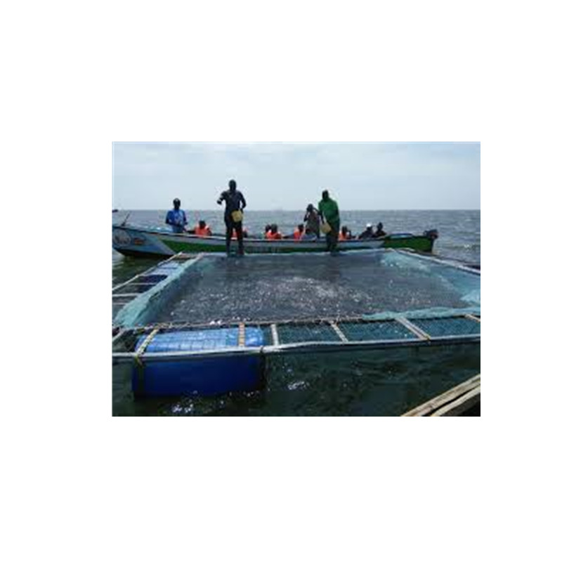 Высокое качество Hdpe рыба клетка с плавающей Понтон