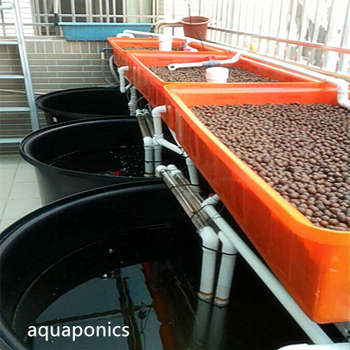 3000 литр 2000 литр синий пластиковый открытый бак для рыбы aquaponics LLDPE Полный новый материал