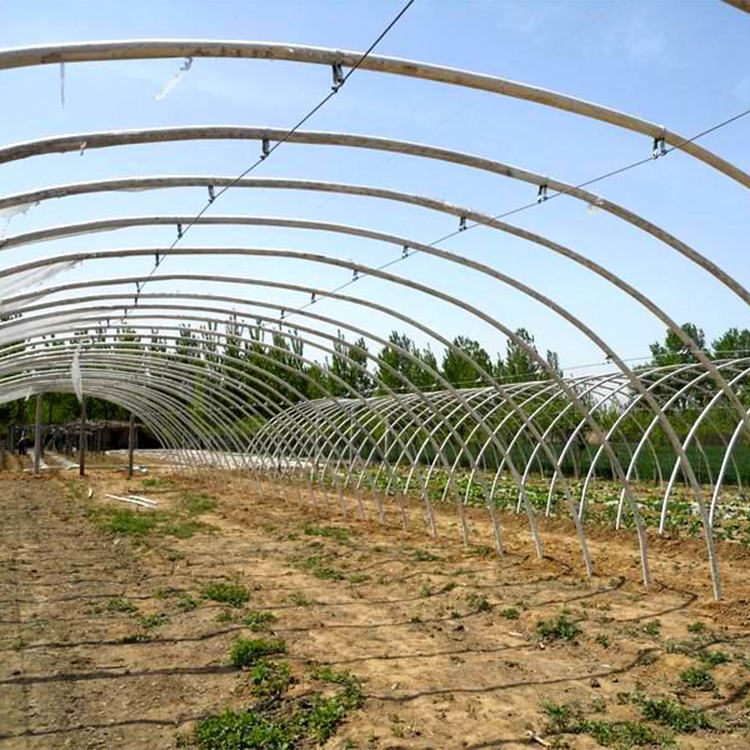 Fiberglass Chicken Shed Polytunnel Chicken Reinforced Plastic Greenhouse