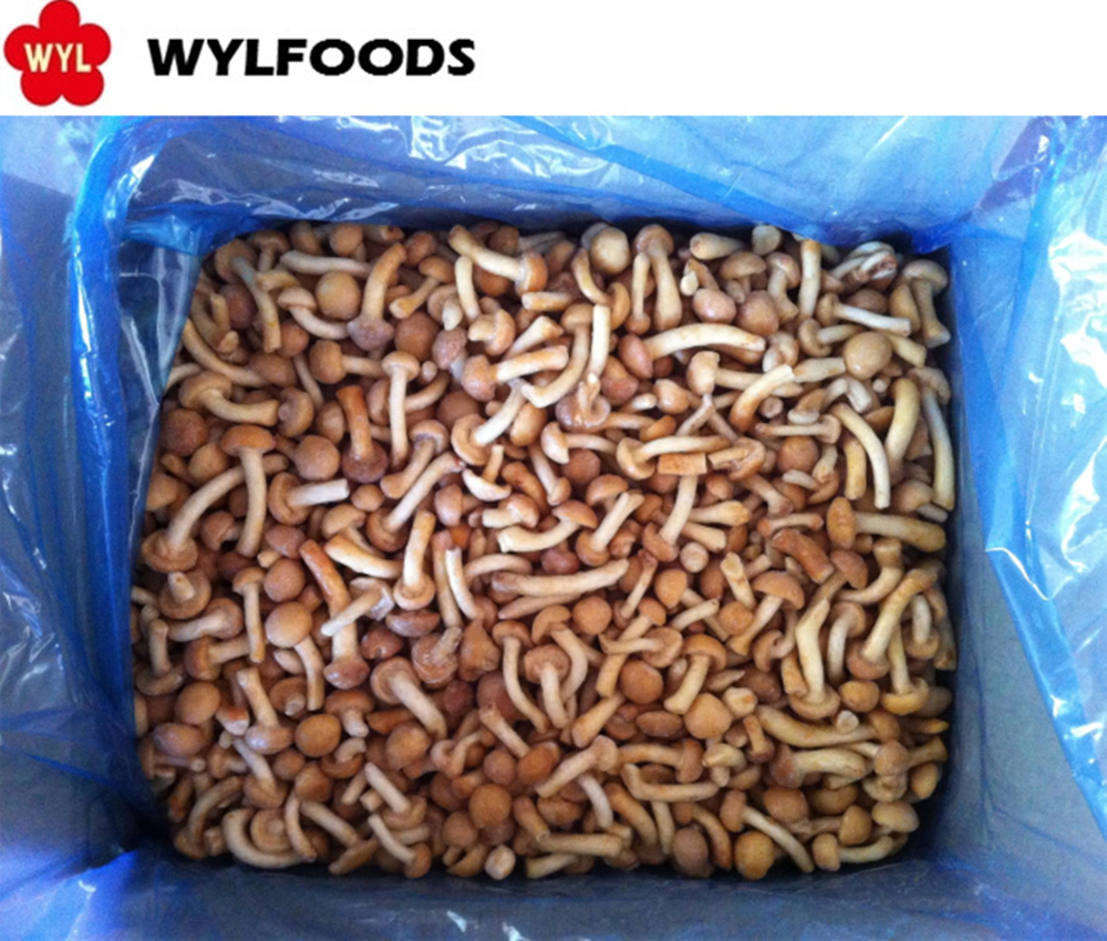 New season best quality factory price frozen mushroom IQF Nameko