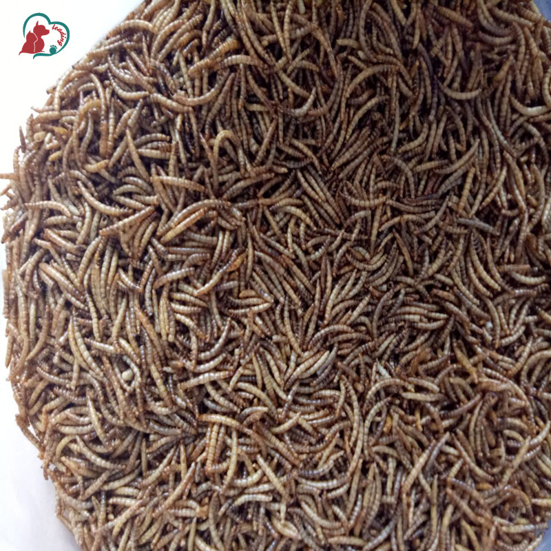 Питание домашних животных mealworm