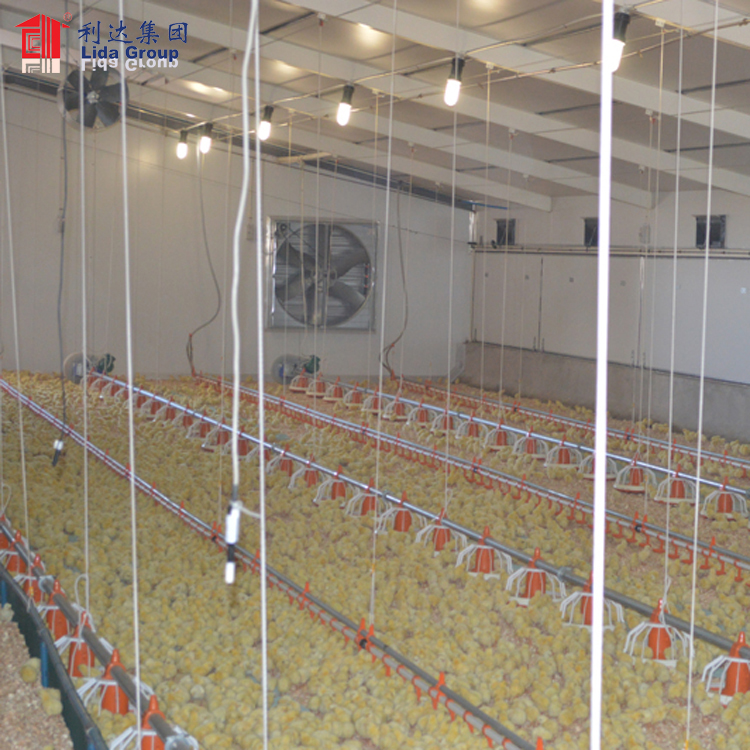 Ангары pour ferme avicole для Cote D'ivoire, птицефабрики поставки