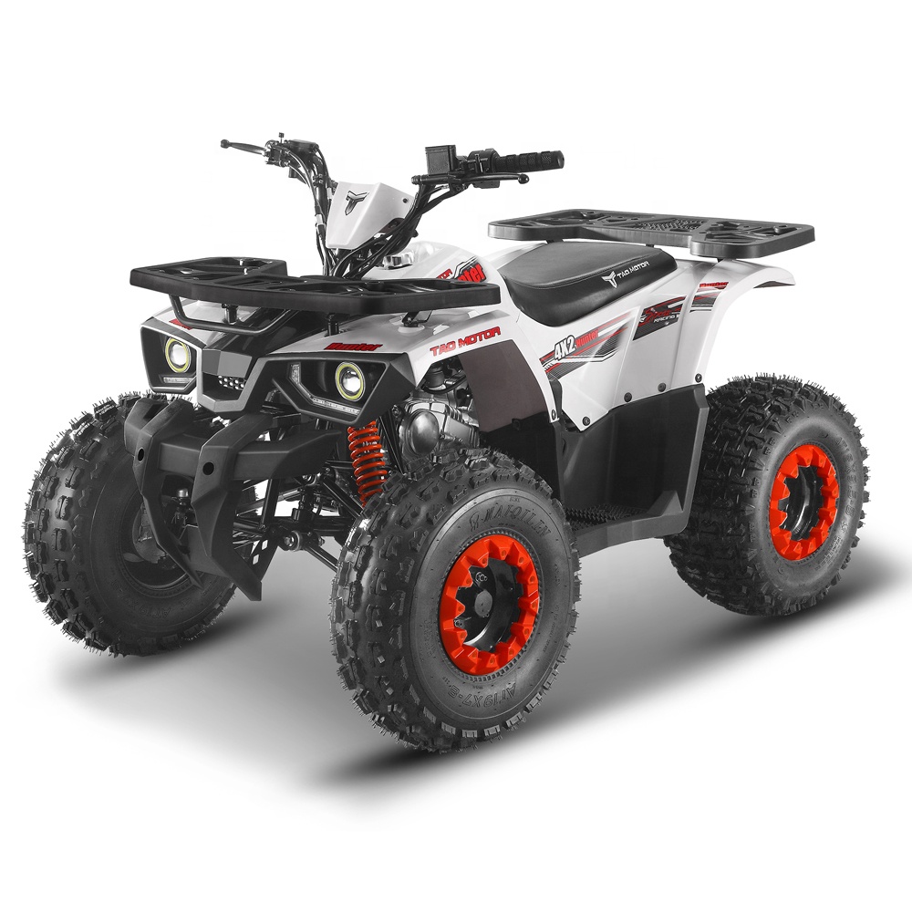 Цепной привод двигателя Tao ATV 125cc с сертификатом EPA CE