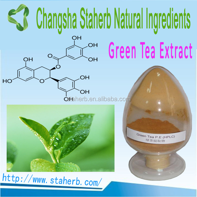 China manufacture supplier hot sale Green tea extract 100% Natural organic Green tea extract