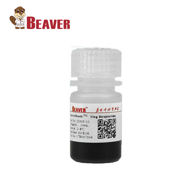 2018 BeaverBeads TM стрептавидин с супер-парамагнитными бусинами для сортировки ячеек