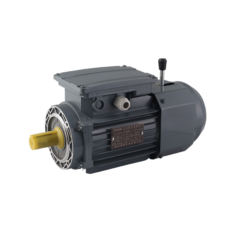 0.09kW-335kW 220-240V полностью закрытый охлаждаемый вентилятором 3-х фазный асинхронный электродвигатель для насоса