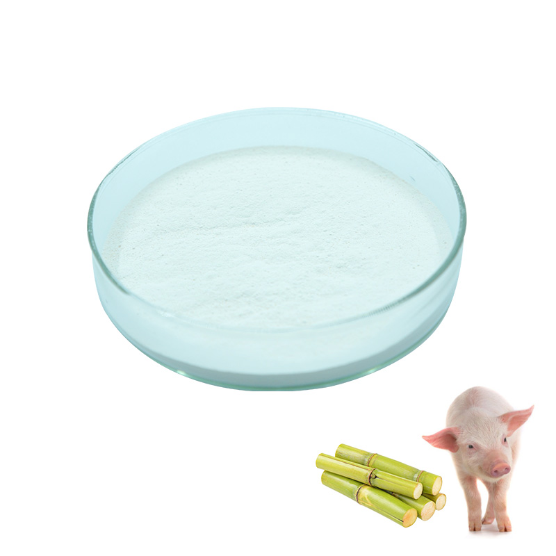 Feed sweeteners increase appetite of suckling piglets and weight gain