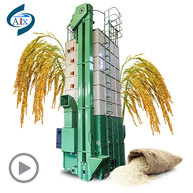 Professional design modern grain rice paddy dryer machine in philippines