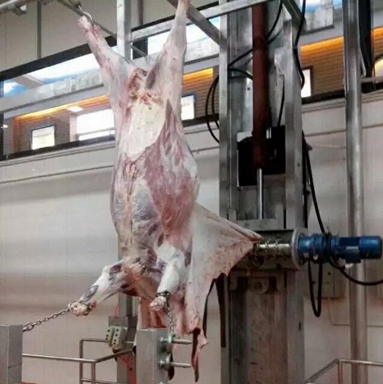 Устройство для удаления шкур крупного рогатого скота