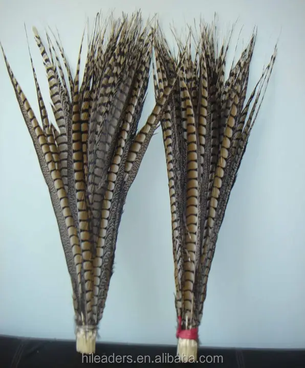 Natural Lady Bottom Pheasant Feather