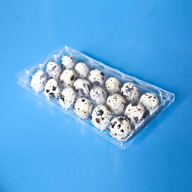 PET Plastic 18 Holes Blister Disposable Quail Egg Tray Manufacturing