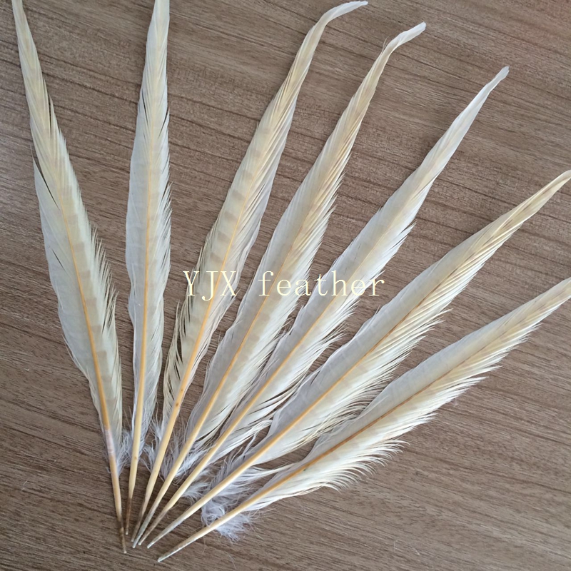 Дешевые plumas белый бахрома из пера фазана для карнавальных костюмов