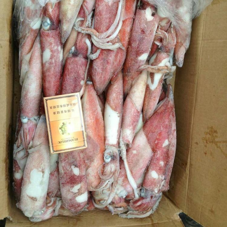Оптовая продажа, морепродукты lолиго из кальмара