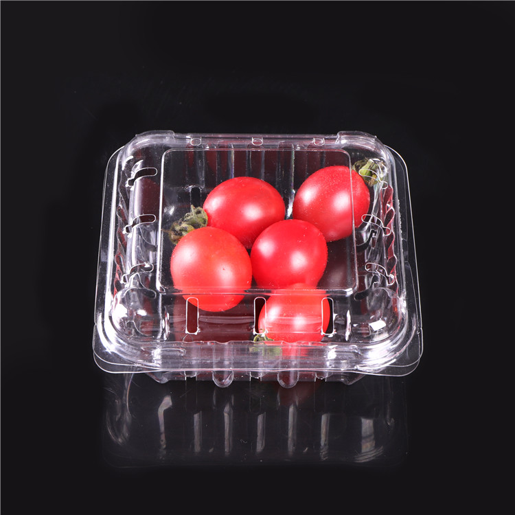 Apet Fruit Packaging Plastic Tray Biscuit Food Tray Custom Blister Food Packaging