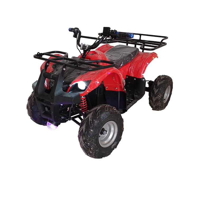 2020 Китай горячей продажи популярных Электрический 4 колеса quad велосипед, способный преодолевать Броды для взрослых и детей с пультом дистанционного управления для продажи