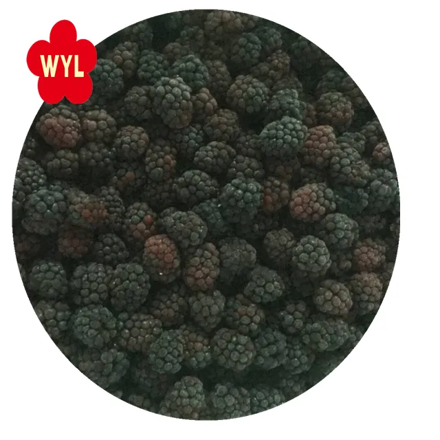 High quality and best price with IQF Frozen Blackberry in frozen fruits