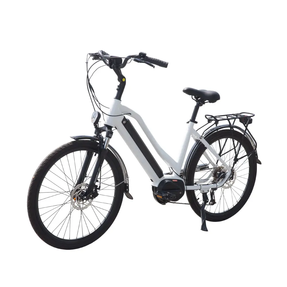 36 В 350 Вт Скрытая батарея Двухместный Электрический городской велосипед для женщин