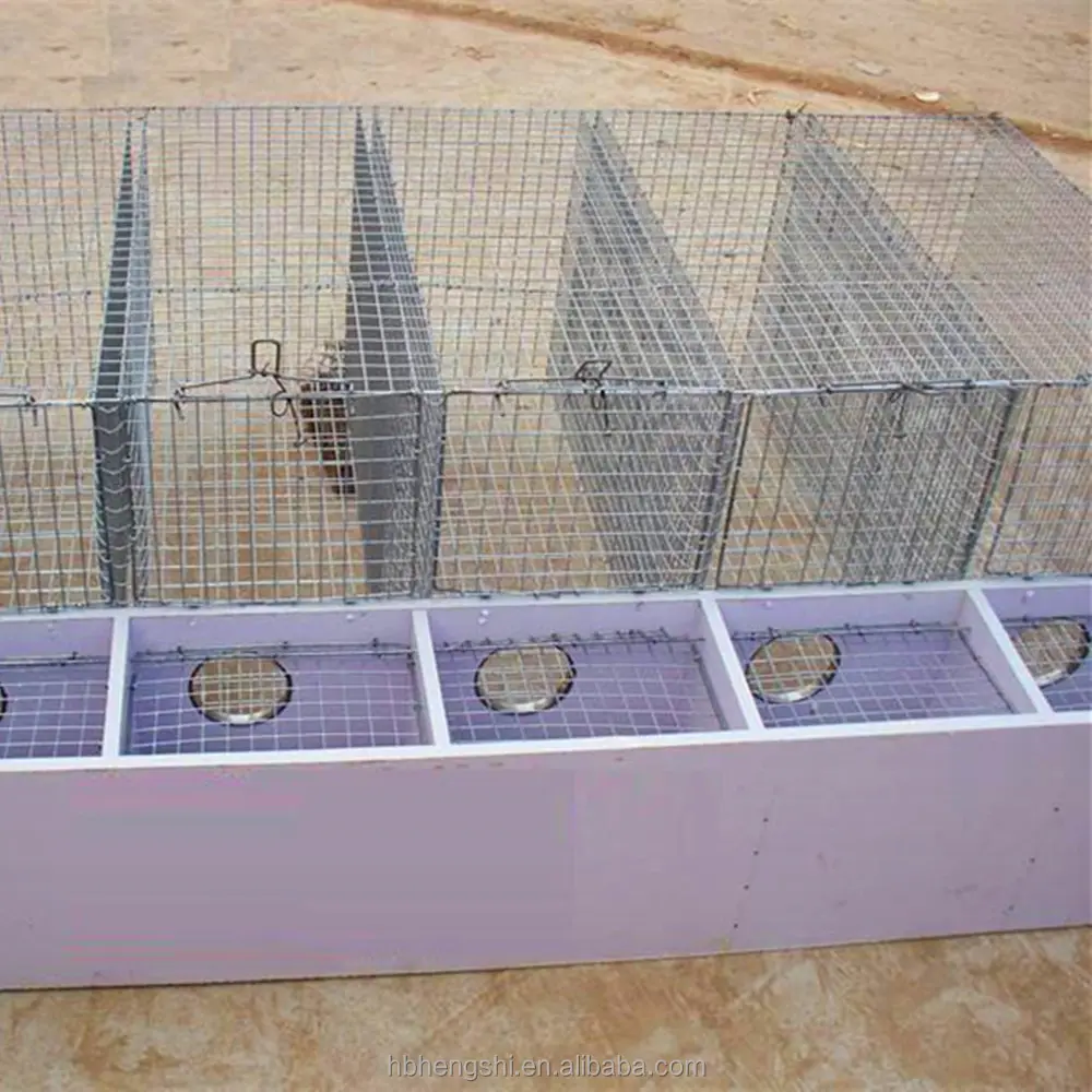 Stainless steel wire mink cage 12-cell