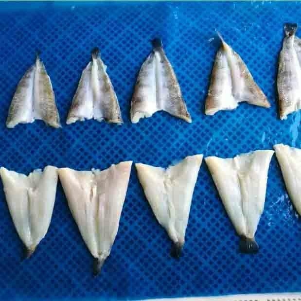Поставка корейского рынка замороженная треска софиш бабочка
