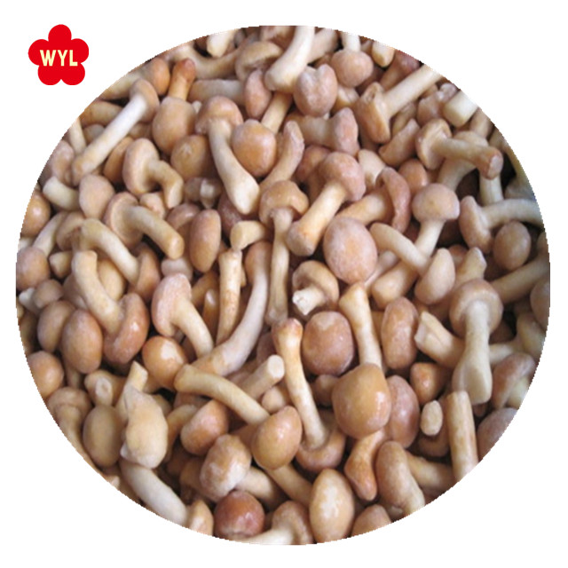 New crop IQF Frozen nameko various specification frozen fresh mushrooms