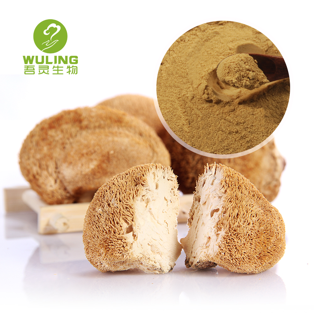 Dried hericium erinaceus lion's mane mushroom extract powder