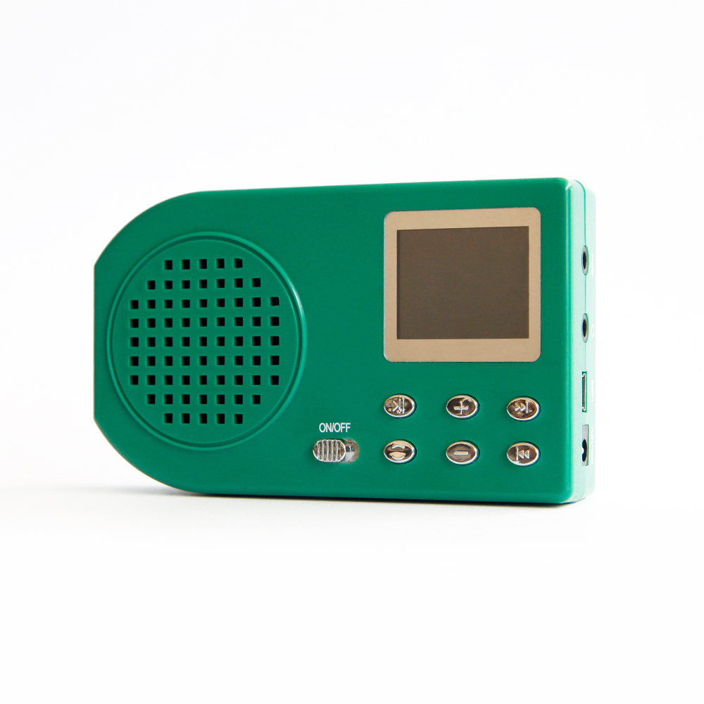 Bird mp3 decoy
