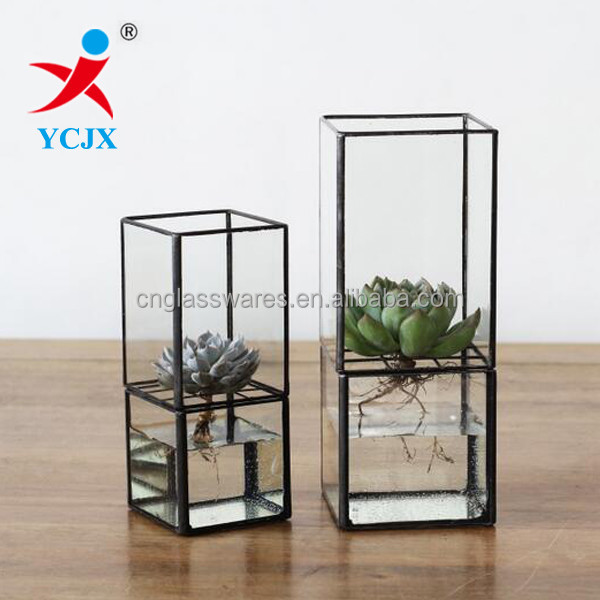 Cuboid Glass Air Террариум для растений с черным краем для продажи