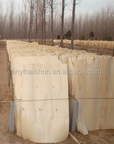 Фабрика Linyi, фанера из тополя для индийского рынка