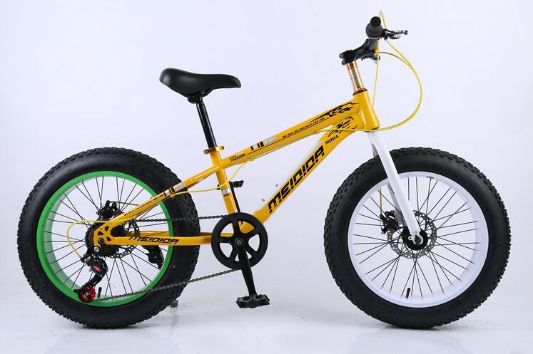 Дешевая оптовая цена, бесплатный образец, электрический велосипед Bmx Snow Fat Bike с удивительным светодиодным дисплеем