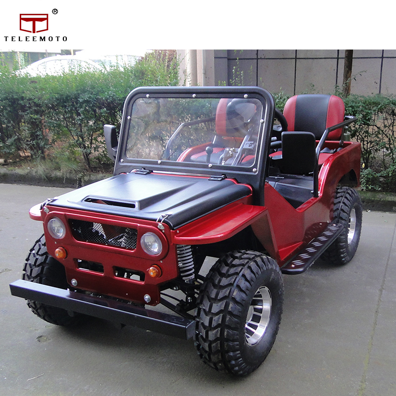 TL-20 CE 150cc, картинг, газовый автомобиль для детей