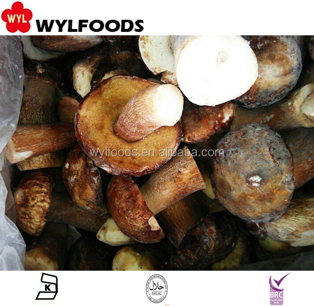 Дикий замороженный гриб для порезания iqf Boletus Edulis