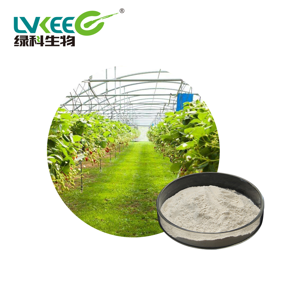 Био-удобрение Bacillus licheniformis для роста растений, микробное удобрение