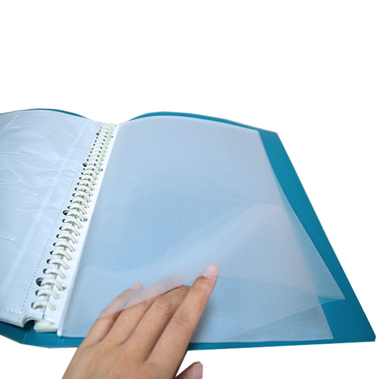 Promotional A4 Frosted PP Display Book For Office Stationary