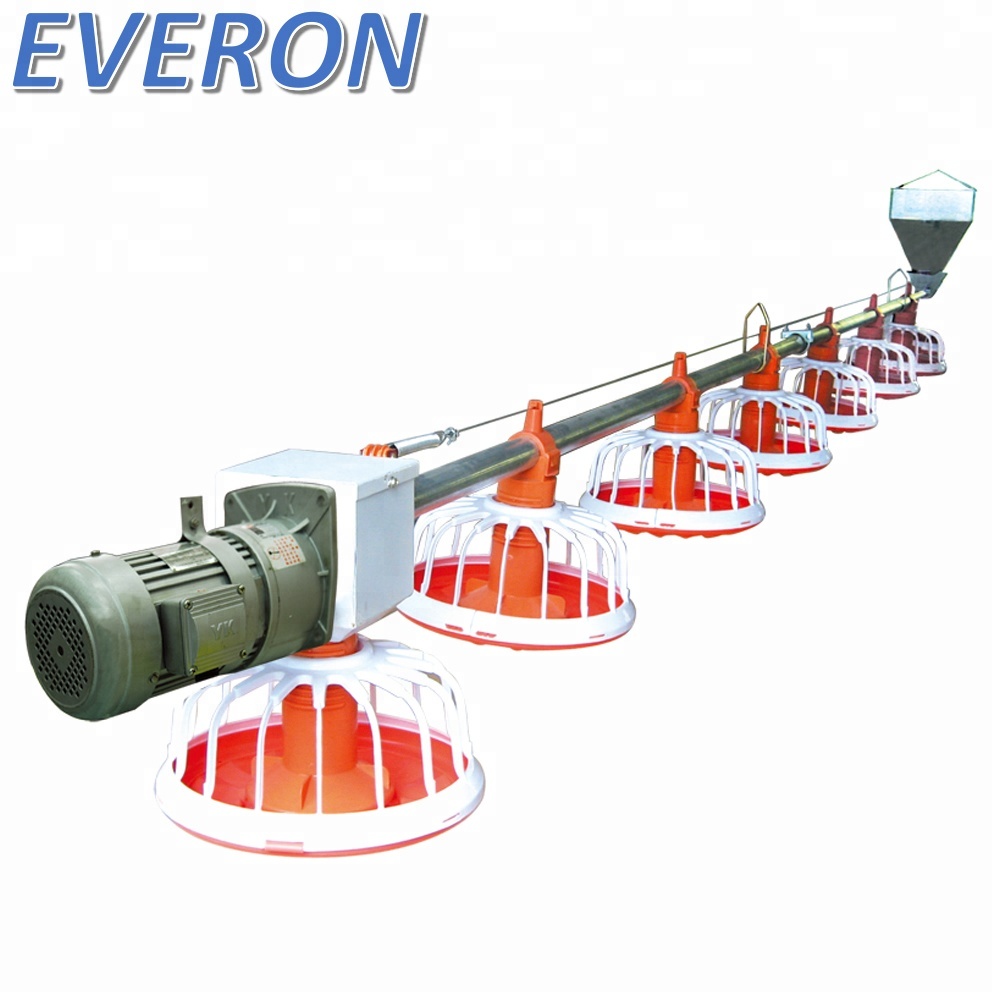 Автоматическая система кормления для птицеводческой фермы Everon