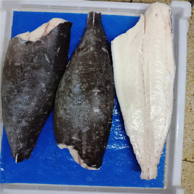 Frozen Super Seafrozen Smooth Skin Oilfish Fillet
