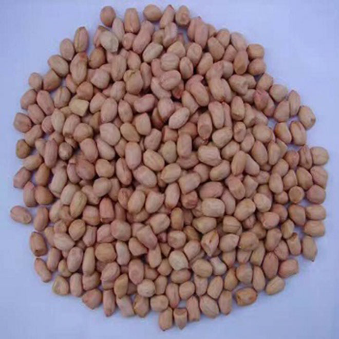 tasty peanuts with high quality