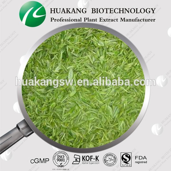 ISO&GMP Green Tea Extract Powder Polyphenols 98%