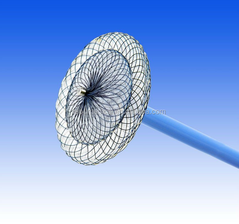 Patent Foramen Ovale (PFO) Occluder