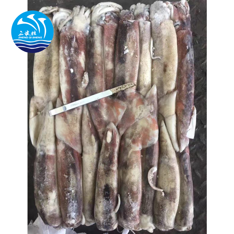 Аргентинская цена Illex, замороженный гигантский кальмар