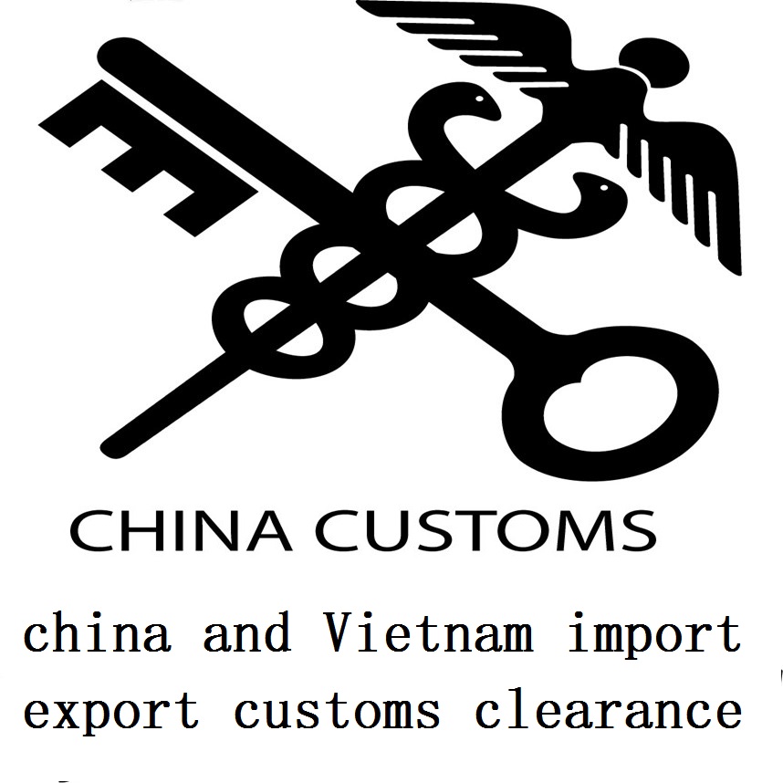 Customs clearance services of sea freight from China shipping company