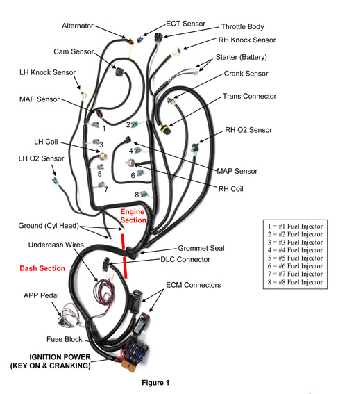 General Motors 2007 and newer LSX and Vortec Fuel Injected engines wiring harness 58X crank sensor 6L80E drive by wire