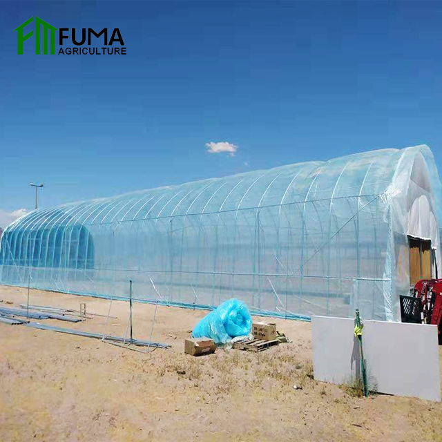 FM 30X100 теплица для томатного сельского хозяйства с сильной рамой для продажи