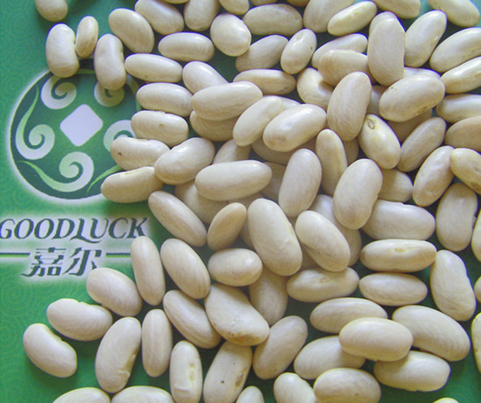 Сушеные белые фасоль оптом/Haricot Bean, новый урожай